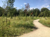 Het pad door Park Elisabeth Groen